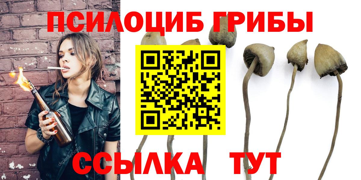 Красный Сулин  что такое   Вход с VPN  Галлюциногенные грибы Cubensis 