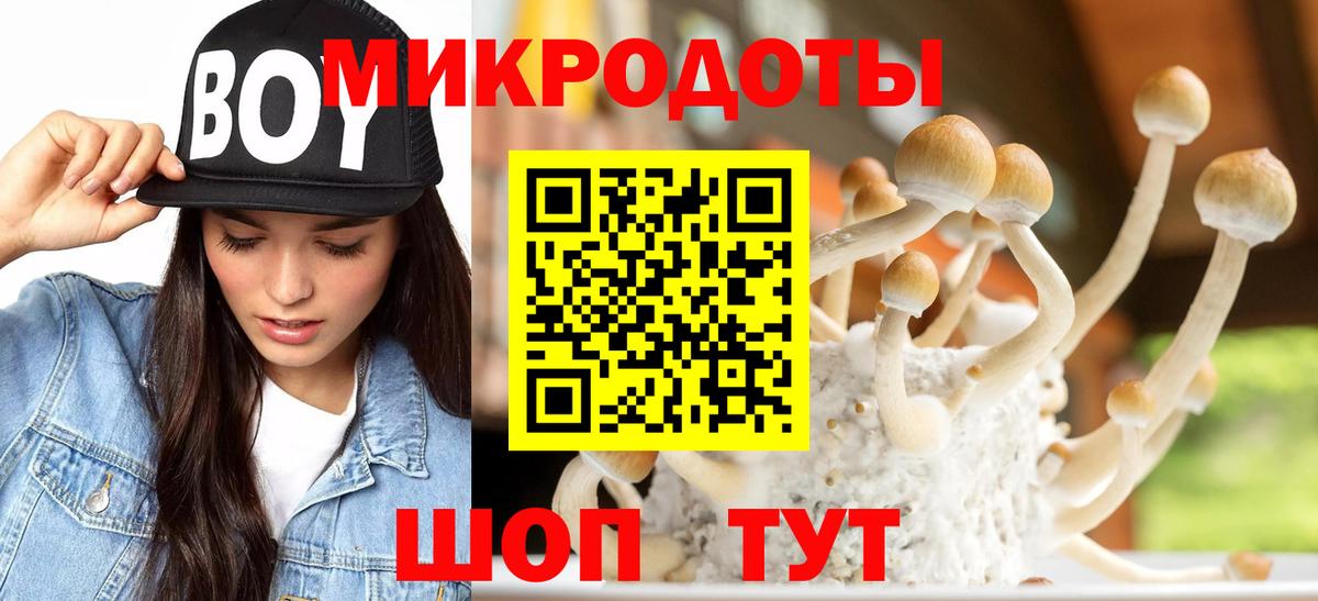 Псилоцибиновые грибы Cubensis Красный Сулин